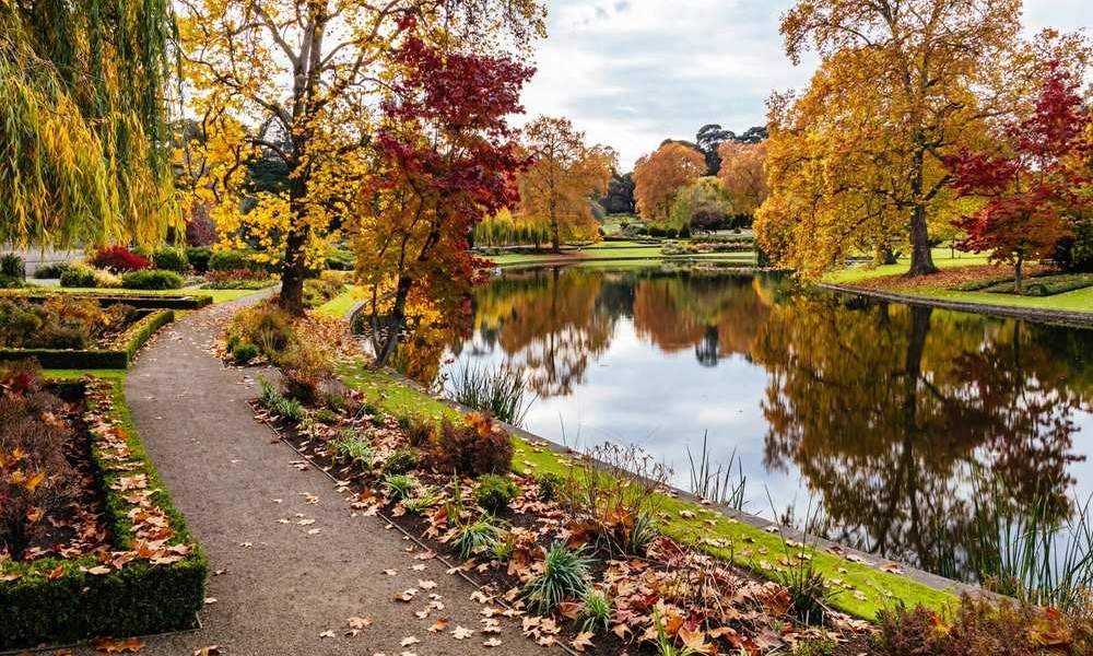 Royal Botanic Gardens Melbourne in autumn