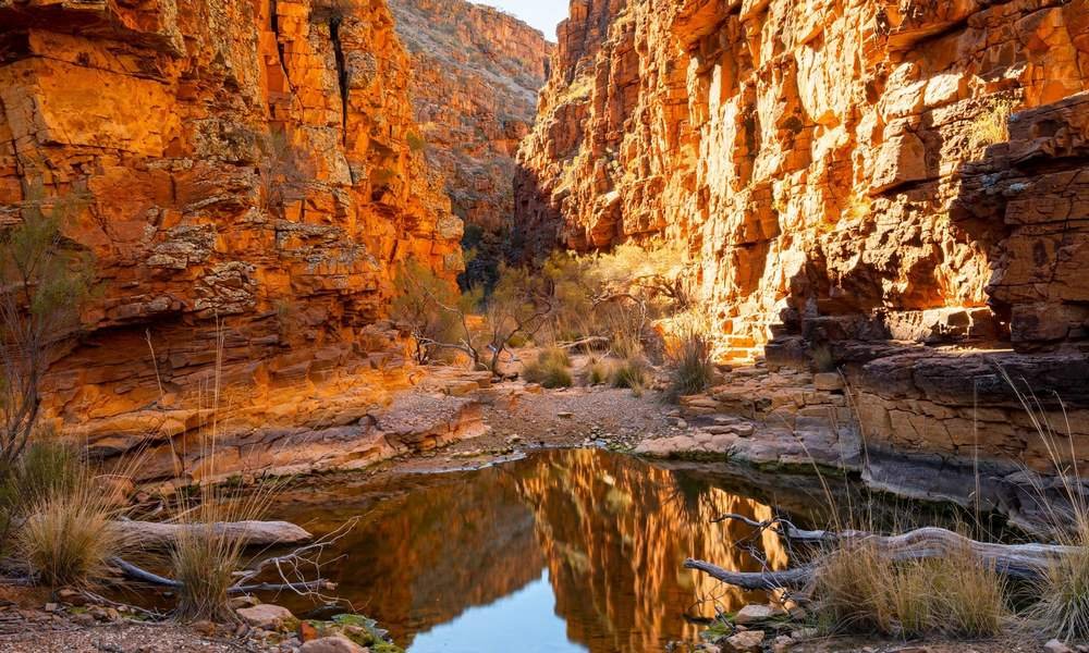 Standley Chasm in the West MacDonnell Ranges with sunlit red cliffs