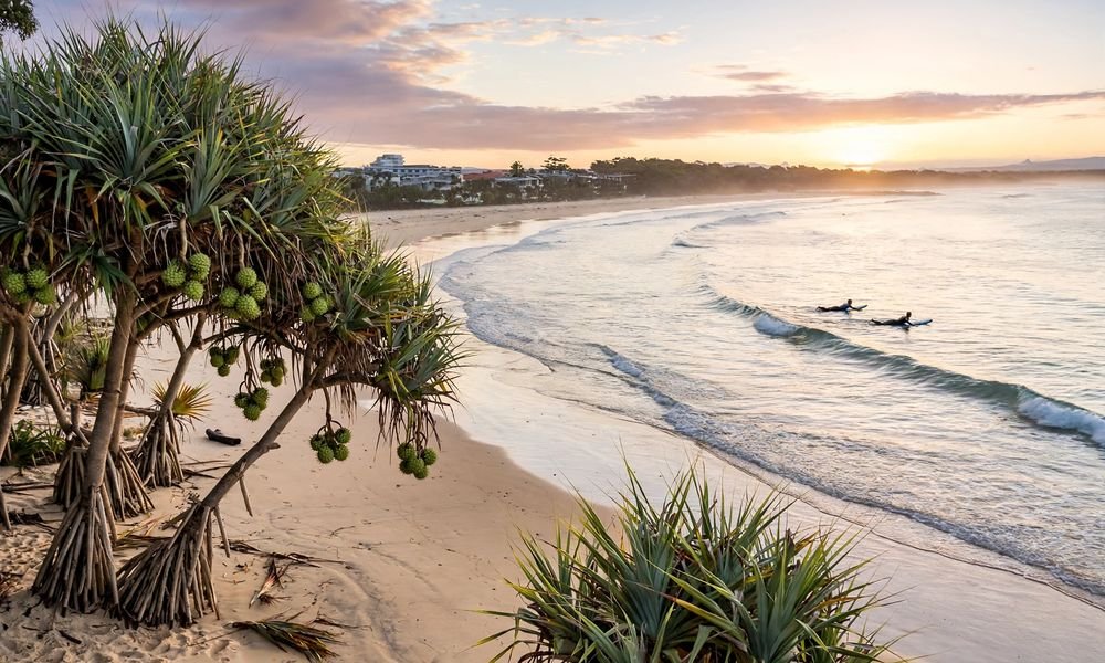 Sunrise over Noosa Main Beach with surfers in the waves and pandanus trees along the sand