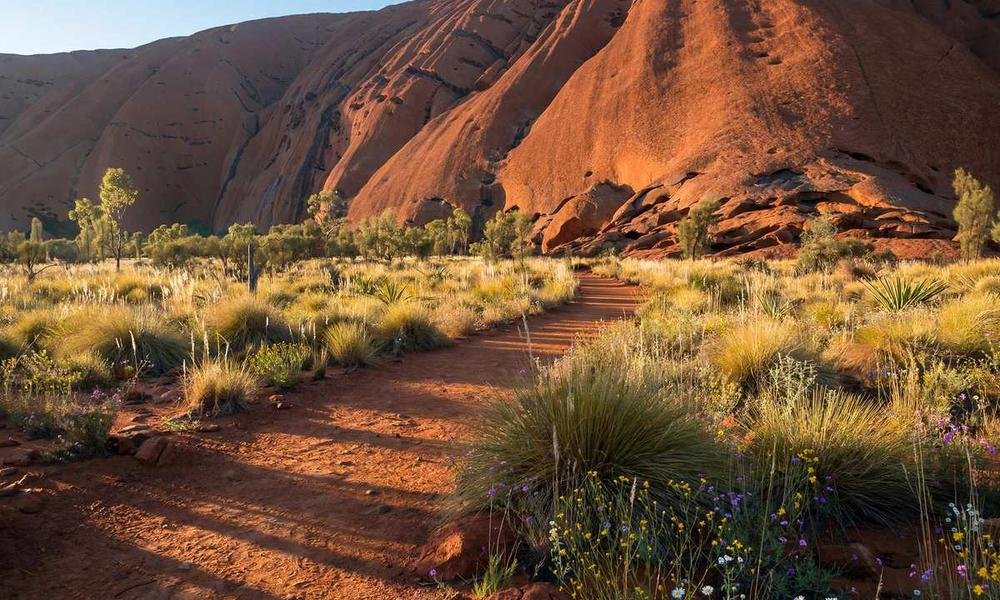 Walking track at the base of Uluru