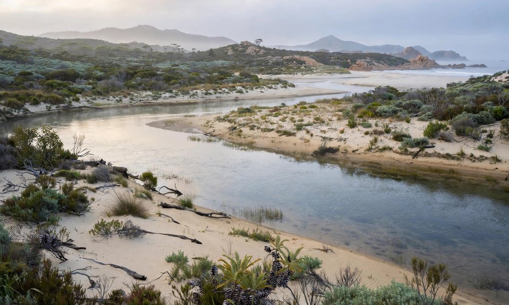 Tidal River campground area at Wilsons Promontory, with bushland and beach nearby